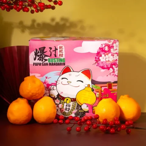 Papa Mandarin Oranges (XL size | 8 pcs | Grade A)