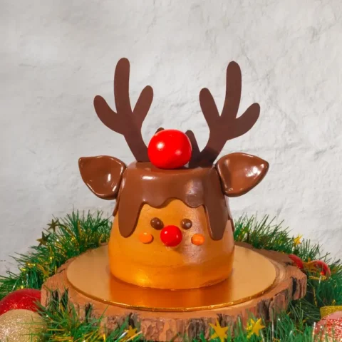 Rudolph Designer Cake