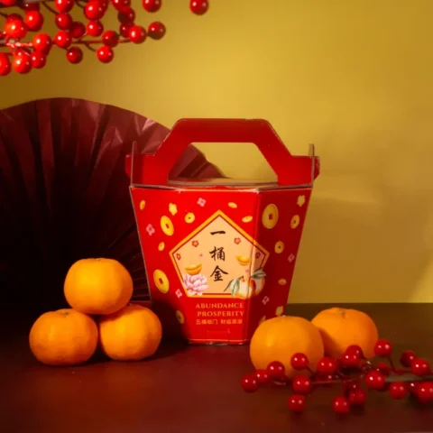 Mandarin Oranges (L size | 12 pcs | Grade A)