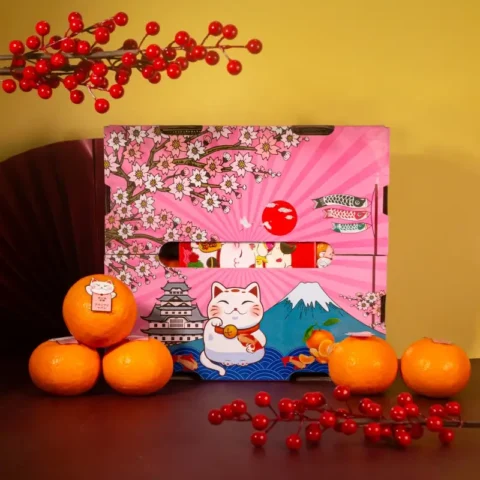 Sakura Wokam Mandarin Oranges (XL size | 10 pcs | Grade A)